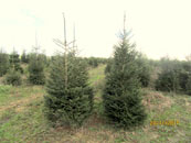 Zdjęcie: 01-img_2672.jpg