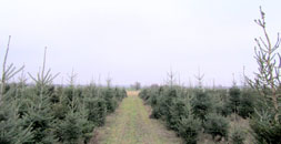 Zdjęcie: 05-img_2679.jpg