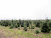 Zdjęcie: 19-img_2700.jpg